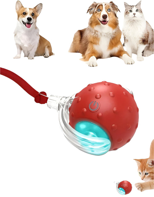 5616