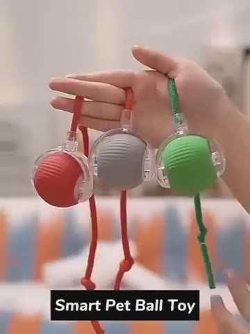 Dog Ball Toy Electric Fun Ball Toy for Cats Dogs